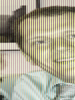 Picture of Trond Norbye