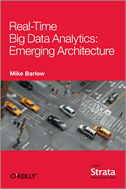 Real-Time Big Data Analytics: Emerging Architecture
