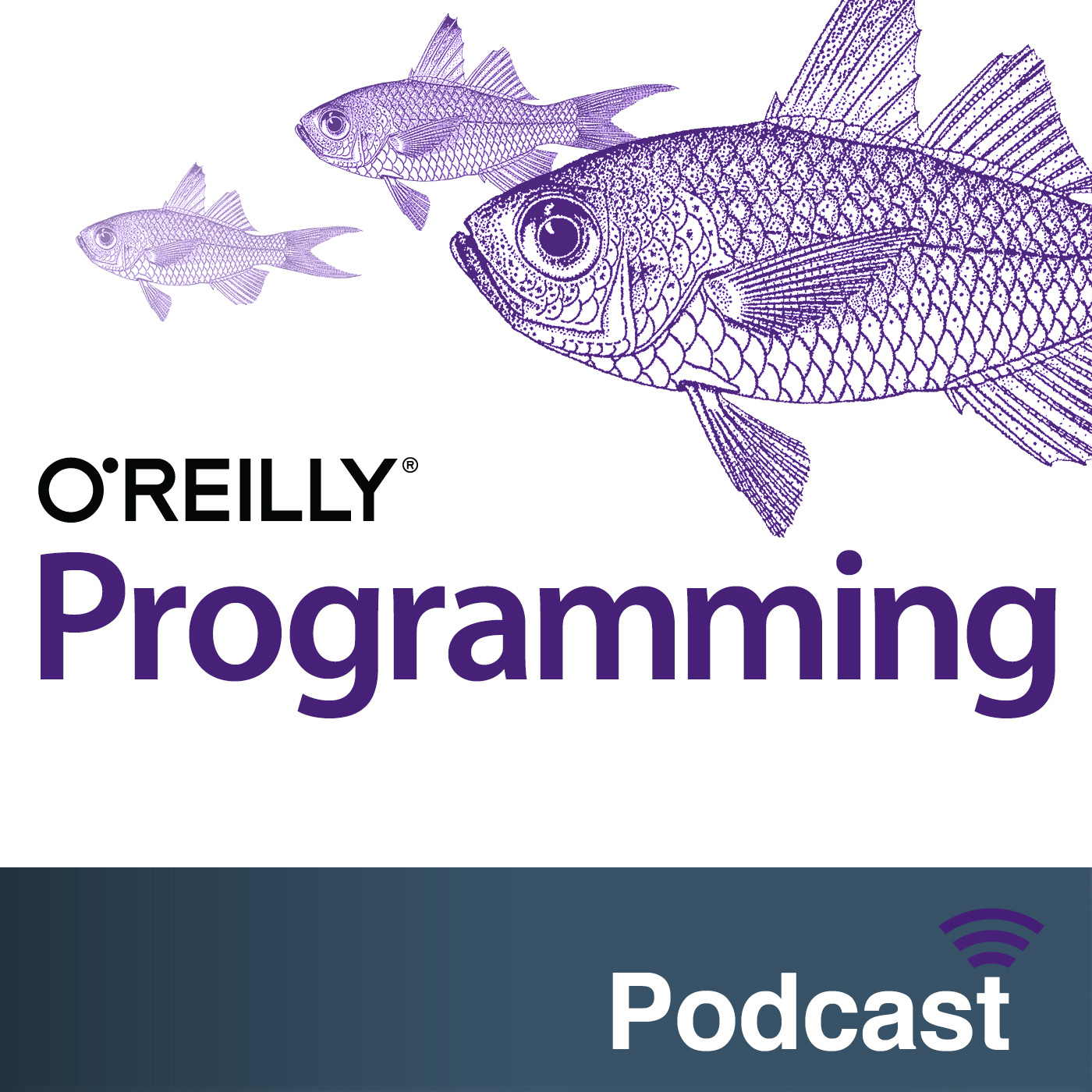 O'Reilly Programming