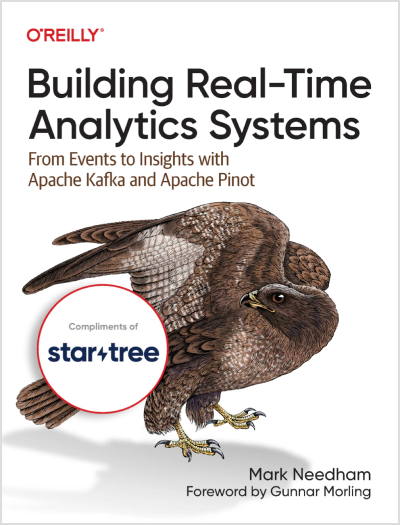 Book cover: Building Real-Time Analytics Systems