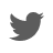 Twitter icon