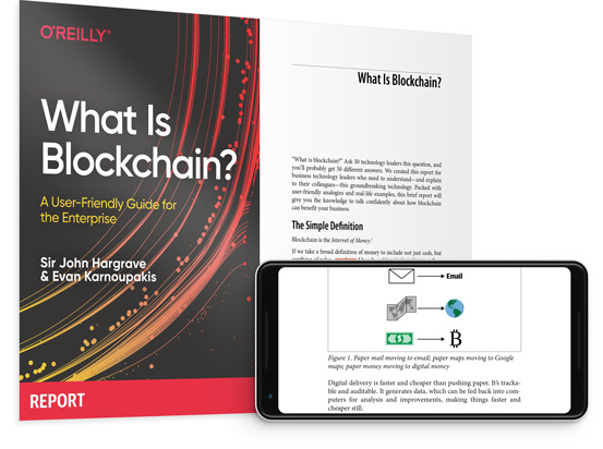 blockchain oreilly